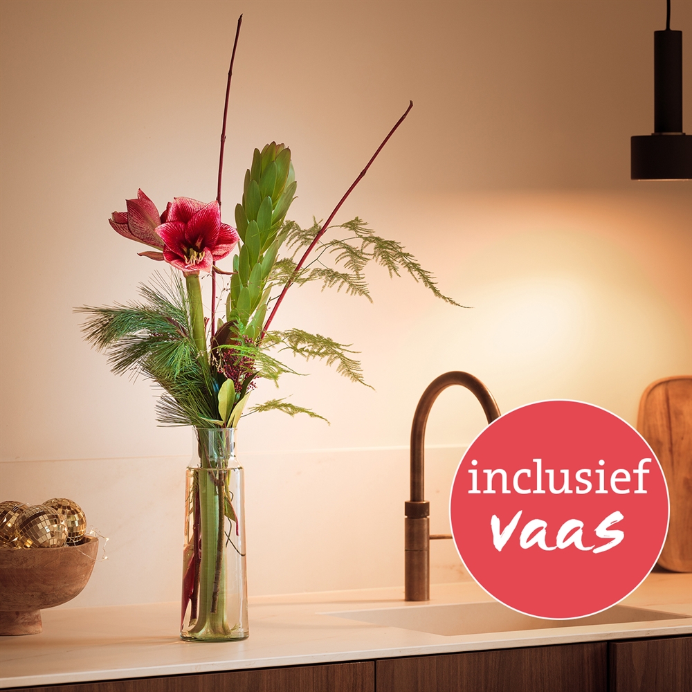 Vaasverrassing Amaryllis